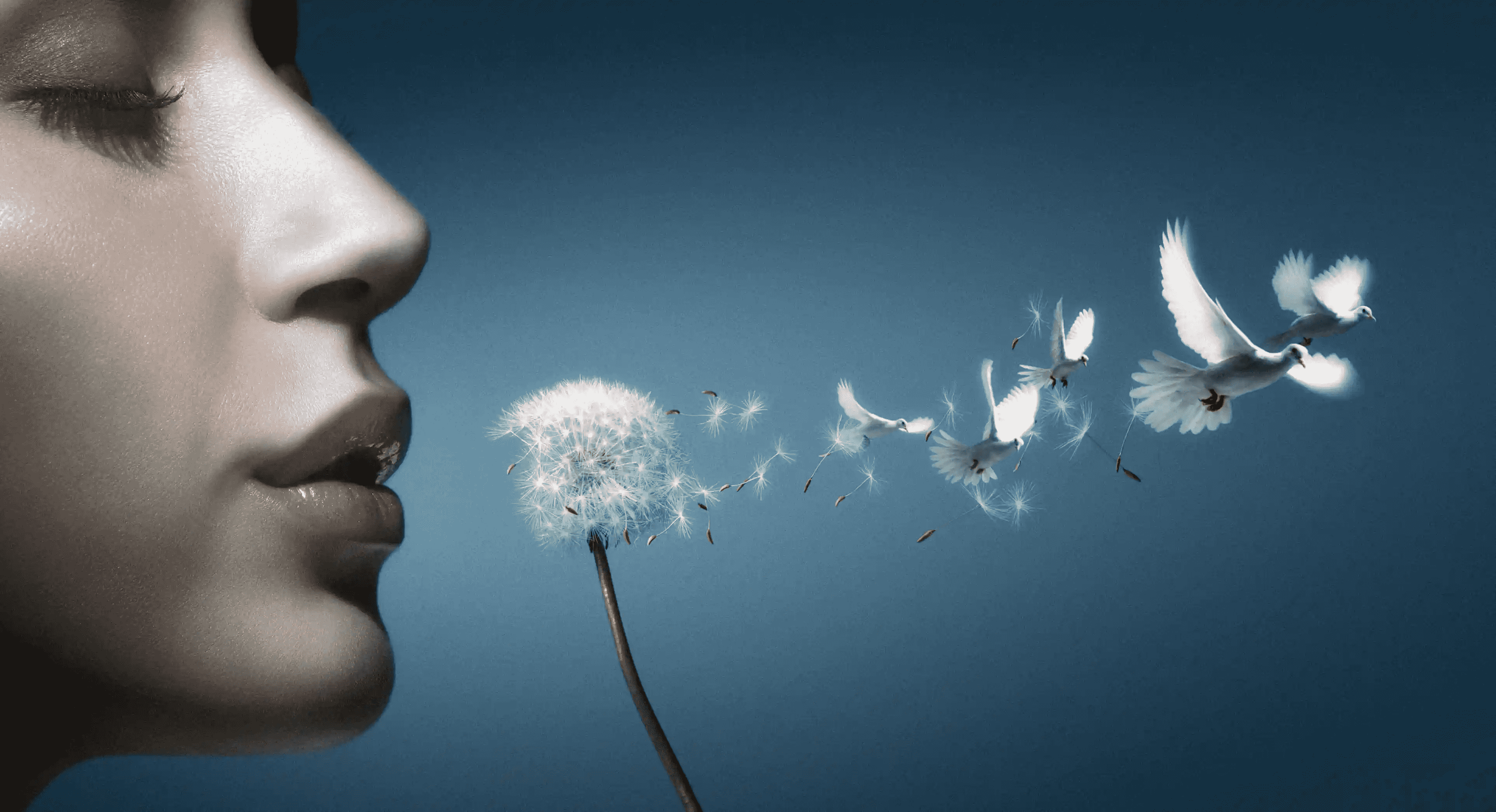 Sebastian Siah Shooting Gallery Asia